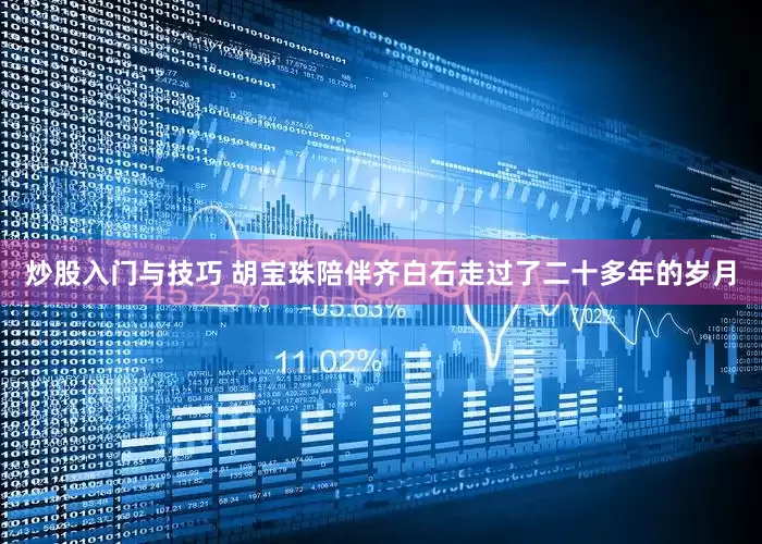 炒股入门与技巧 胡宝珠陪伴齐白石走过了二十多年的岁月