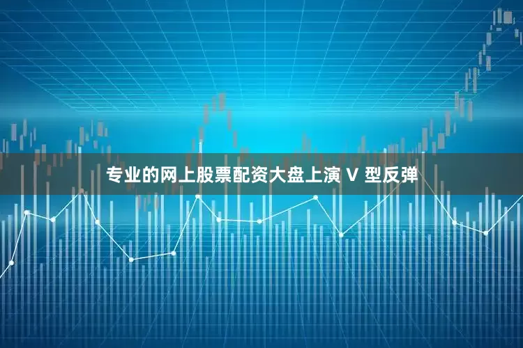 专业的网上股票配资大盘上演 V 型反弹