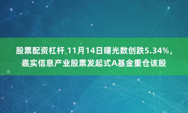 股票配资杠杆 11月14日曙光数创跌5.34%，嘉实信息产业股票发起式A基金重仓该股
